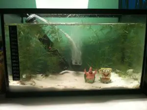 Freshwater tank with heater