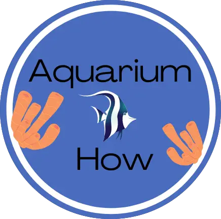 Aquarium How Logo