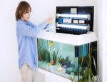 Best Freshwater Fish for Cycling Tank